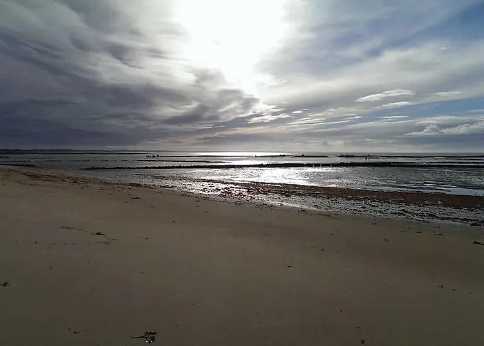 Studio A La Plage 20M Belle Vue